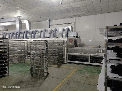 Equipo de secado al vacío de microondas de 1 a 10 T/h con una tasa de reducción del agua del 95%