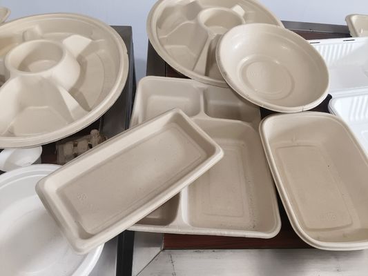  Sistema automatizado de recubrimiento por pulverización para pulpa moldeada | Recubrimiento interno de precisión