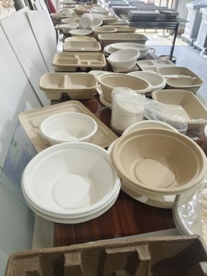 Moldeado de pulpa de revestimiento de espín versátil para alimentos envasado de aceite y máquina de recubrimiento UV a prueba de fugas