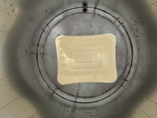 Revestidor de espín totalmente automático de alta velocidad para moldeo de celulosa con anchura máxima de revestimiento de 1040 mm