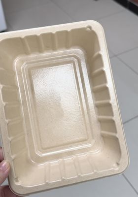 Línea interna de recubrimiento de espín para productos de moldeo de celulosa - Máquina de recubrimiento de precisión totalmente automática