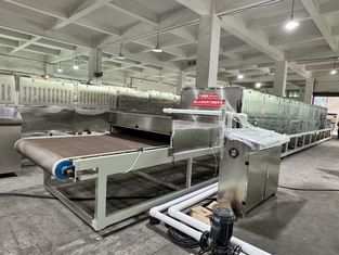 Sistema de esterilización y secado por microondas de grado alimenticio | Preservando la nutrición y mejorando la vida útil