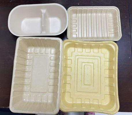 Línea Inteligente de Recubrimiento por Centrifugación de 24 Estaciones para Recubrimiento de Barrera de Agua/Aceite de Vajilla Moldeada de Pulpa