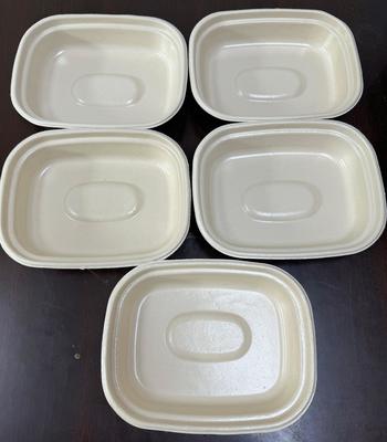 Prototipador de recubrimiento por centrifugación de doble estación y carbono neutral para vajilla a base de plantas - Solución de carbono neutral para platos, cuencos y bandejas de carne