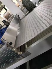 Equipo de secado continuo de microondas para hierbas y frutas.