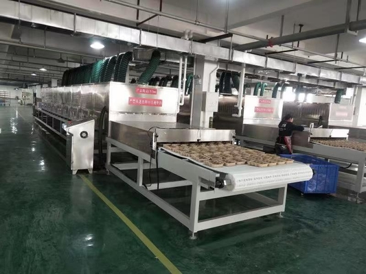Sistema de secador de microondas de vacío personalizado para aplicaciones industriales avanzadas