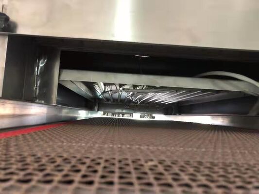 High-Speed UV Sterilization Machine for Food Packaging | Continuous Inline Disinfection