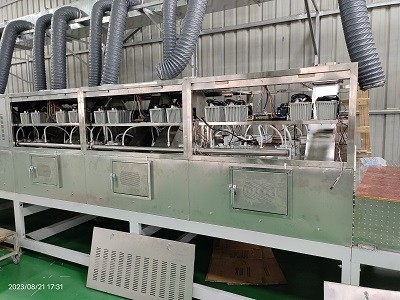 Equipo de secado al vacío de microondas de 1 a 10 T/h con una tasa de reducción del agua del 95%