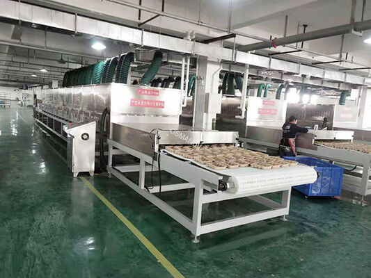Secador de microondas de túnel continuo con potencia personalizable (12-200kW) y control PLC para secado rápido (4-20 veces más rápido)