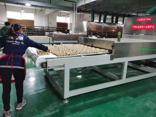 Secador de frutas y hierbas por microondas industrial | Alta eficiencia y preservación de la calidad